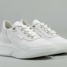 ΠΑΠΟΥΤΣΙΑ ΔΕΡΜΑ